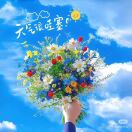 杨湳