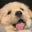 A!